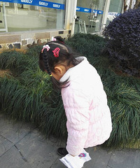 �����ٴ����ճ���+Ѱ����