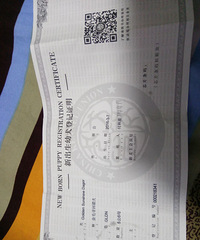 ת�ô��ֽ�ëһֻ���ھ�����֤��