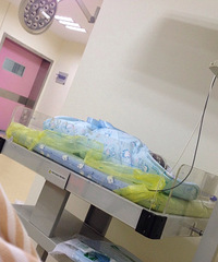 ��������ˮ�ݱ��������ռǡ�֮�������ռ� ����˳��һֻСƤ��