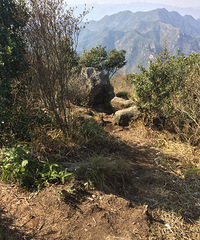 不想宅家里 约一好友一起去大山上吸氧