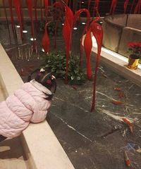 �����ٴ����ճ���+��С��