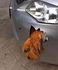 �ձ�����ġ�����һ������