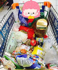 ���۸��ࡿ������ʳ��������