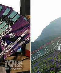 ��������������Ʊ