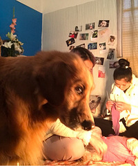 �ٿ�����