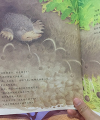 �������ļ����ڰ�վ�ڶ��η���