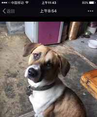 ��æ��ɢ��