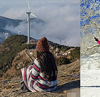 ɹ���ڳԺ�����