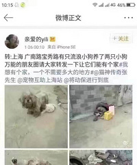 ���Ϻ���������ȥ�Ⱦ����ǣ�