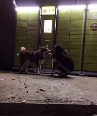 ��Բ�����