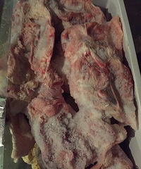 ��Բ�����