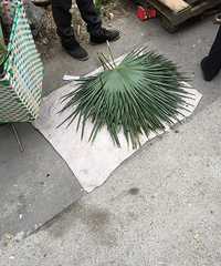 ���۸��ࡿ���Ǽ�����궼�а����ӵ�ϰ��ô��