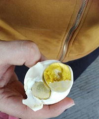 ���۸��᡿�Բ�Ҷ�����Ե���˫�Ƶ�