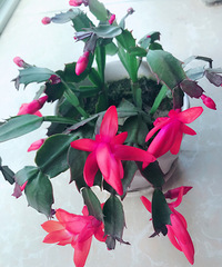 ������ô�����ڿ�����