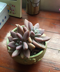 ǰ���������������£�Ҫ�������е㲻��