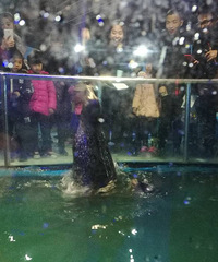 ����κ�������