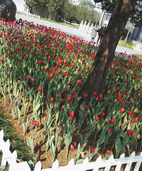 �����ٴ����ճ���+�ξŷ幫԰