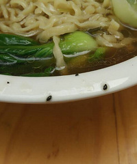 һ������ô�����