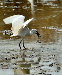 ����ʪ�ع�԰�İ���