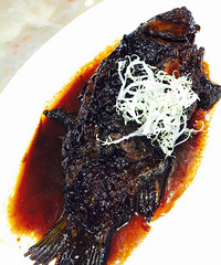 �ҵĴ��ڼ��������չ�