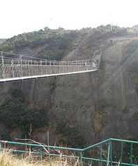 ��ȵ�ţ����ų�����