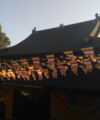 ��ǰ�ż�������Ƿ��50���Ҹð����ǻ�ô��