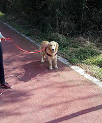 ת�ô��ֽ�ëһֻ���ھ�����֤��