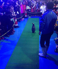 ����԰�μǣ�19¥������