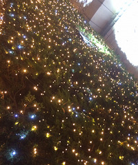 ���۸��᡿�����ʲôʱ��ʼ�أ�