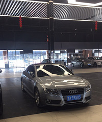 �ó�������