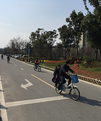 ����ɽ������