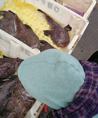 ������������