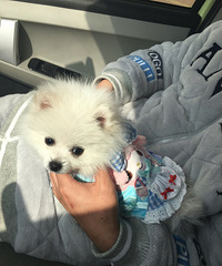 ɹɹ�Ҹ����С���������к����⣬С������