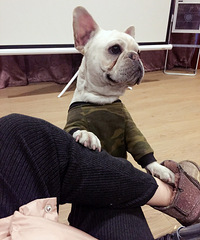 ���˽ڣ���������Ҹ�Ů����