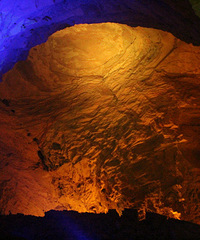 ���ƻֺ�Ķ�������