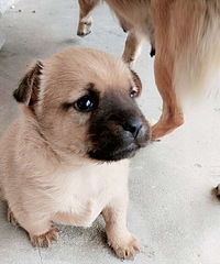 2017��1��26�գ�