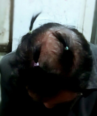 �����ٴ����ճ���+��үү��С����