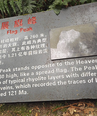 �������ռǡ�+�㵴����