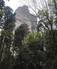 �������ռǡ�+�㵴����