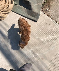 ���񻷴�����������𣿹���Ŀǰ�������ˣ�