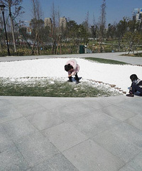 �����ٴ����ճ���+��Լ�Ϻ͹�԰