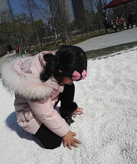 �����ٴ����ճ���+��Լ�Ϻ͹�԰