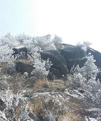 ���ҽ�ɽ��