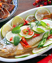 ����������������  ����������������