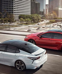 �������ķ����ж���³��������� �ܵ��������