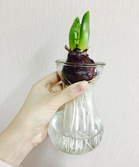 ��˵�еķ����ӣ�