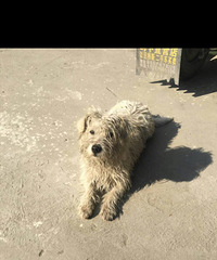 ���ҵ����ѿ����ˣ������Ȱ�æץס�𣿲�Ҫ