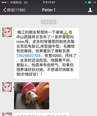 Ѱ����ĦҮROSE