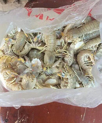 ���۸��ࡿ�����ƤƤϺ�����ô��