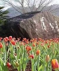 ���۸��ࡿ�������ǰ���Ĺ�԰��ô���������û�ȥ�ĸ���